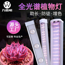 ȫ����T8T20ֲ��ƹ�������һ��1.2�׻������Ҽ������ڶ��ⲹ���