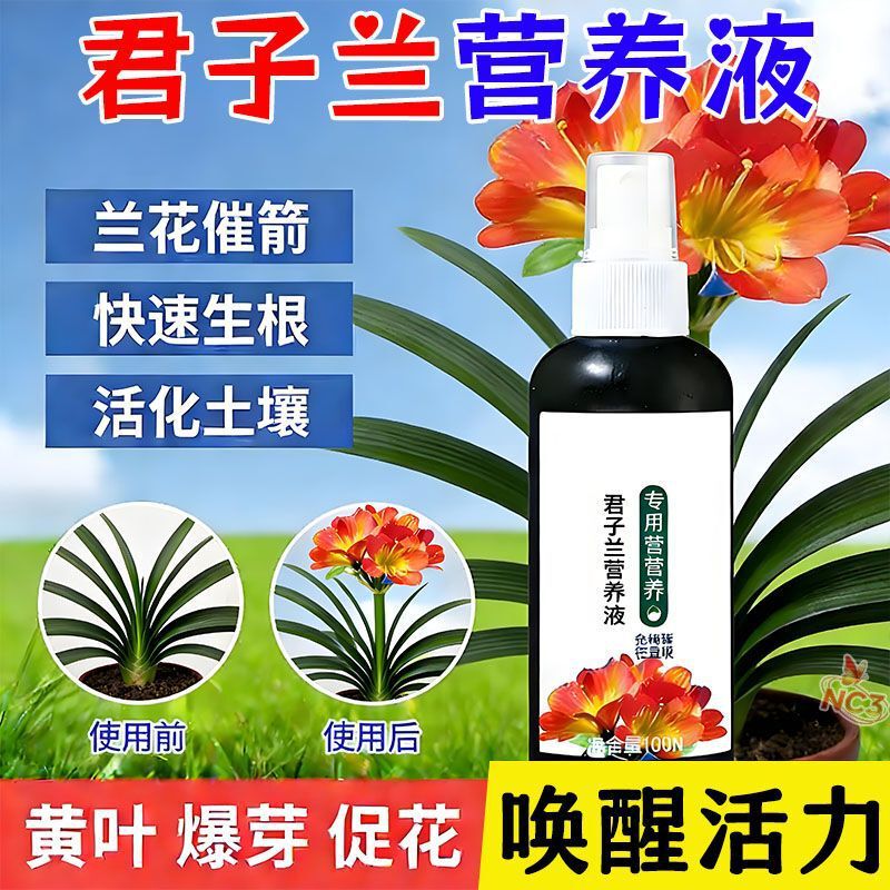 Emergency Nutrient Solution Specifically for Clivia, for Neat Plant Shape, Treatment of Yellow Leaves and Leaf Rot, Prevents Flowering Failure, Prevents Soft Rot, Direct Spray, No Dilution Needed Emergency Nutrient Solution Specifically for Clivia, for Neat Plant Shape, Treatment of Yellow Leaves and Leaf Rot, Prevents Flowering Failure, Prevents Soft Rot, Direct Spray, No Dilution Needed