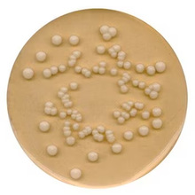 1.10130.0500�������R��������ǭ�֬���B��΢����500g Millipore