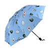 Japanese cartoon umbrella solar-powered, with little bears, sun protection, wholesale