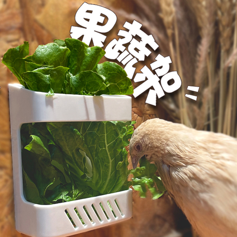 宠物鸟鹦鹉芦丁鸡饲养喂食蔬菜支架盒子布景用品