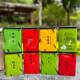 Live broadcast tea with goods Wuyi Mountain Golden Junmei red robe small black tea Tieguanyin green tea Biluochun jasmine tea