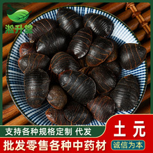 土元中药材批发土鳖虫地鳖虫水洗土元无加重土元干规格全量大价优