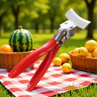 ���P������_����ʡ����ɏ�_���Q���Ϸ���ˮ�����������ϊA�ӹ���