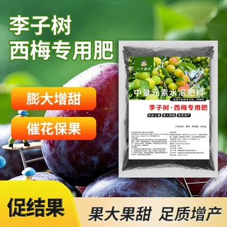 李子西梅专用配方防裂增甜产量高中元素植物促着色果大核小壮果