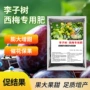 产量元素植物着色果