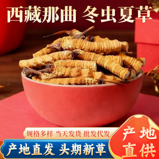 �����������x�Ĳݔ�ݟoù׃���x�ݼ��⹝�ݾ�ԭ��Դ�^ֱ�l���]