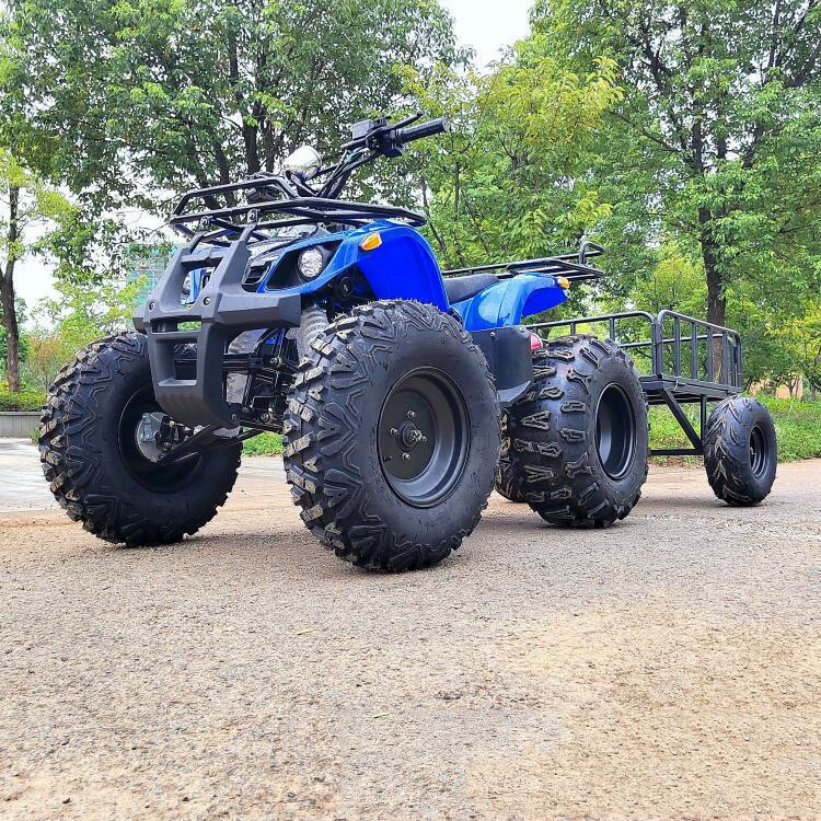 125CC грузовой автомобиль перевозка фермера горный транспорт внедорожное транспортное средство группа строительных работ обеспечивать перевозку