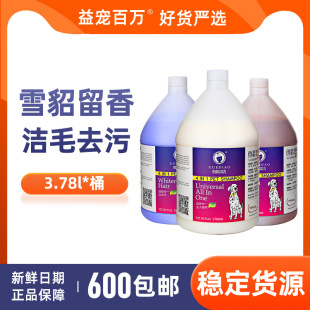 Samoyed teddy golden retriever universal bath lotion 3.78L vat