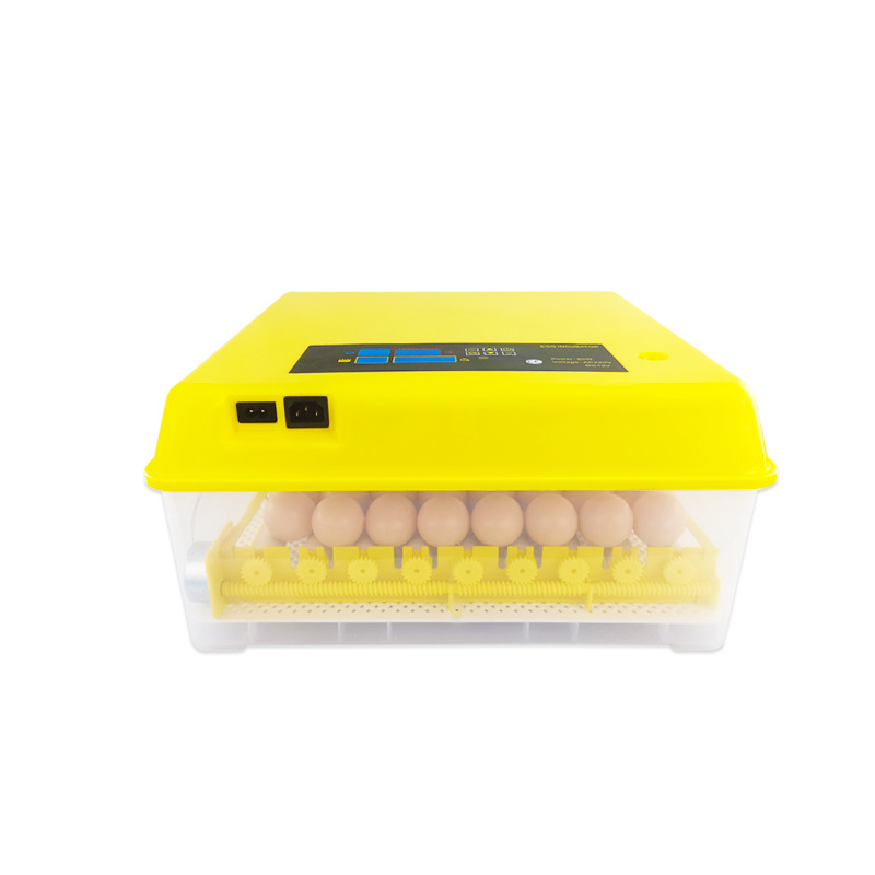 56 piezas doble rodillo de potencia mini incubadora de temperatura constante rutina incubadora de pollo pequeña incubadora transfronteriza comercio exterior