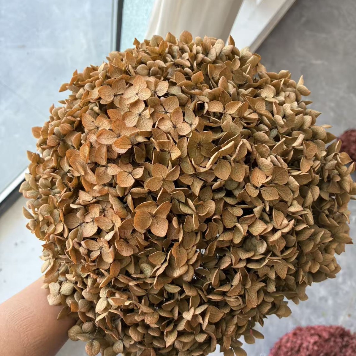 Cà phê nhẹ