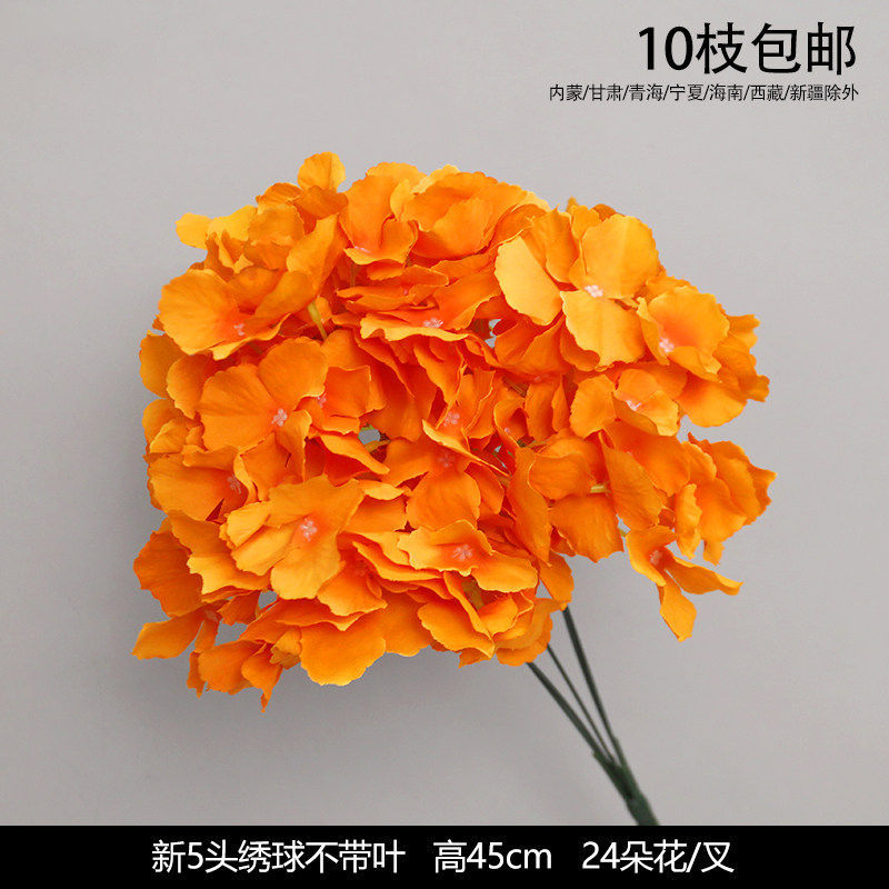 新5头绣球不带叶