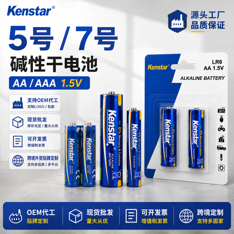 No. 5 and No. 7 Alkaline Batteries Customized Aa/Aaa Dry Batteries Fingerprint Lock Smart Lock Ordinary Toy Remote Control Batteries