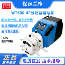 灌装蠕动泵工业型大流量多泵头串联定量铝合金外壳分装蠕动泵