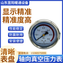 YZ100軸向圓形真空壓力表 -0.1-0.5 0.6壓力表脈動滅菌器配件