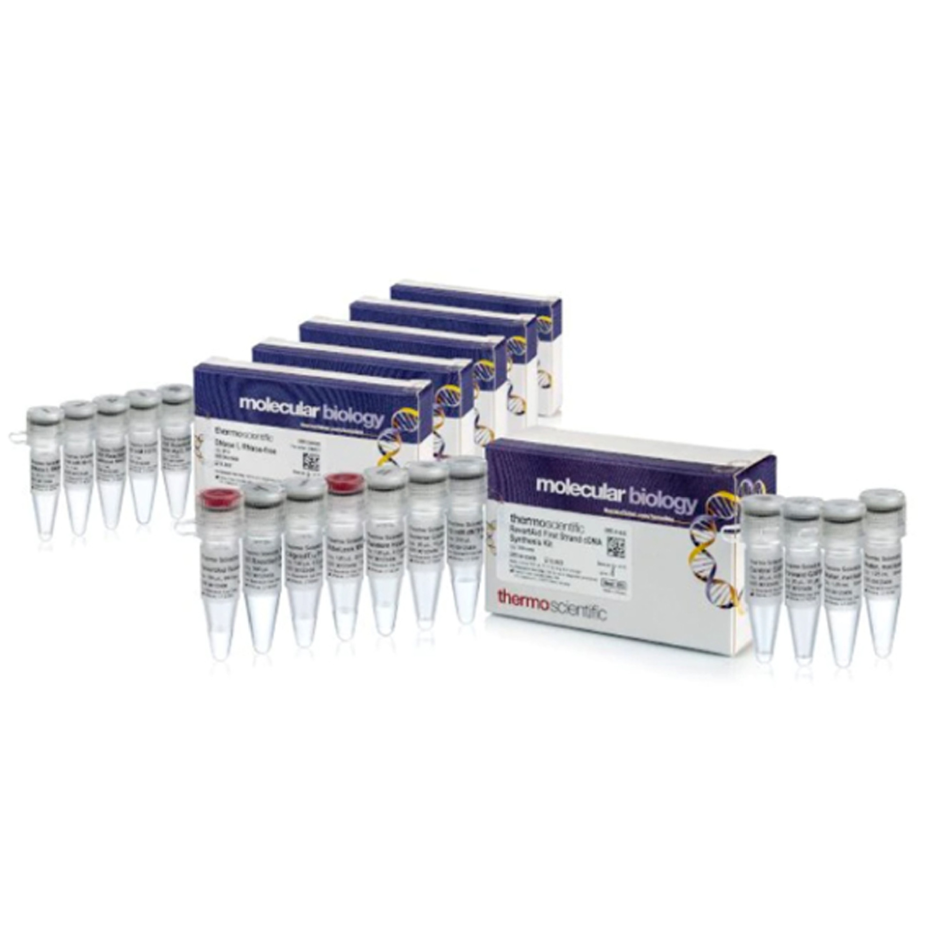 Fermentas K16225 RT逆转录试剂盒（含DNA酶）