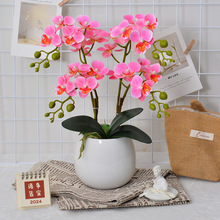 m滨^zָмٻb[͏db廨մ辰l