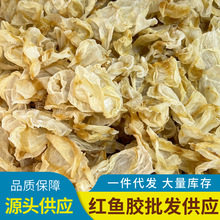 红鱼胶红鱼肚清水足干不苦缅甸红鱼胶片花胶海味干货大量批发