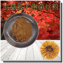 虫草被毛孢菌丝粉可检测中华被毛孢菌丝体粉收藏领券另有虫草多糖