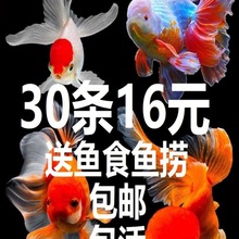 С���~�ˮ�^�p�~����wС�~����ˮ�~��С�\�����P�������Lˮ�~