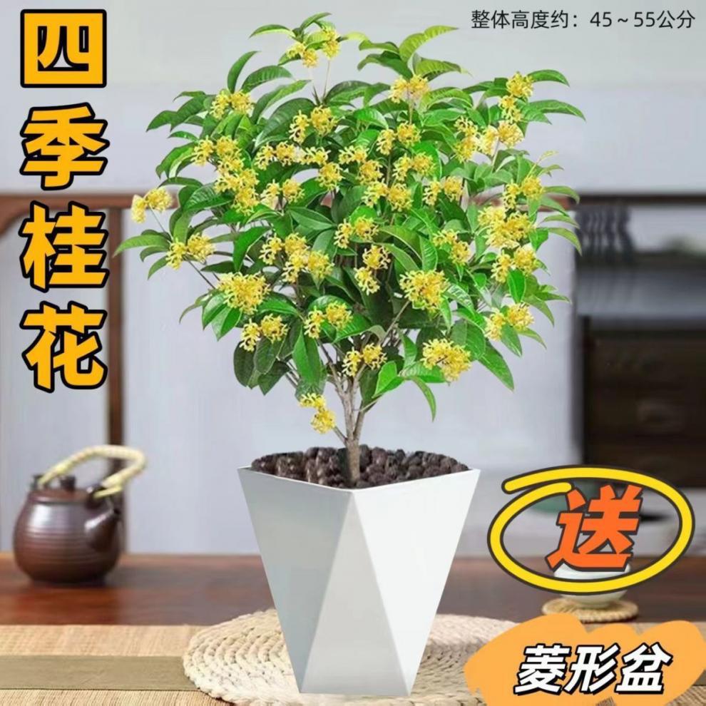 10a98e52-3917-4b65-9026-b8f0f330f1ac.jpe