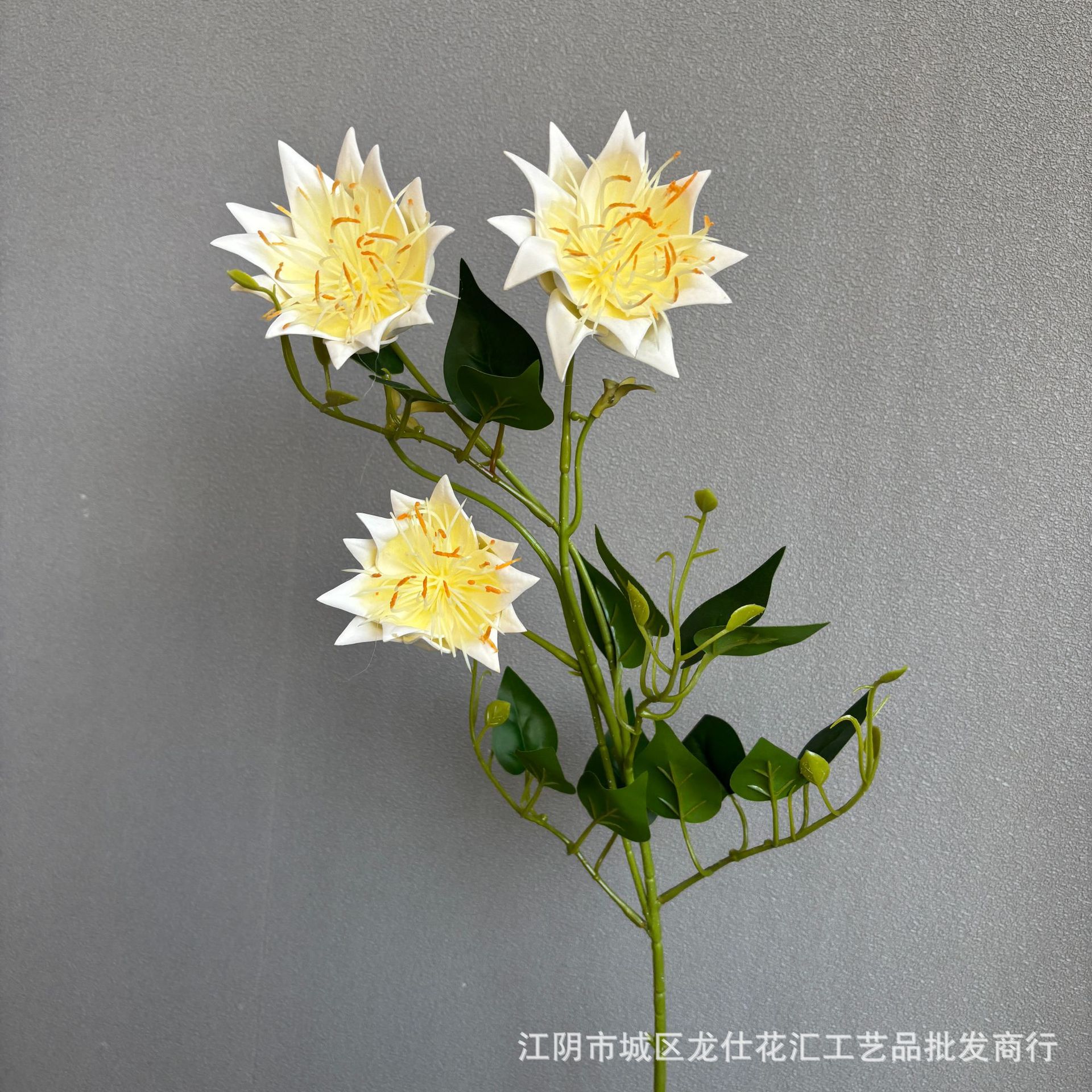 느낌 프리틸라리아 난초