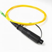 ���w���|�A�B�ӷ�ˮ�����҃�Ƥ�|��������ˮ�B���^���wƤ������