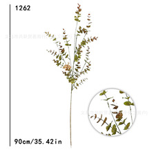 �S�����l����Gɫֲ��ާ�~��˹�~ާ�ݻ�Y�͏d����ܛ�b����ާ�~