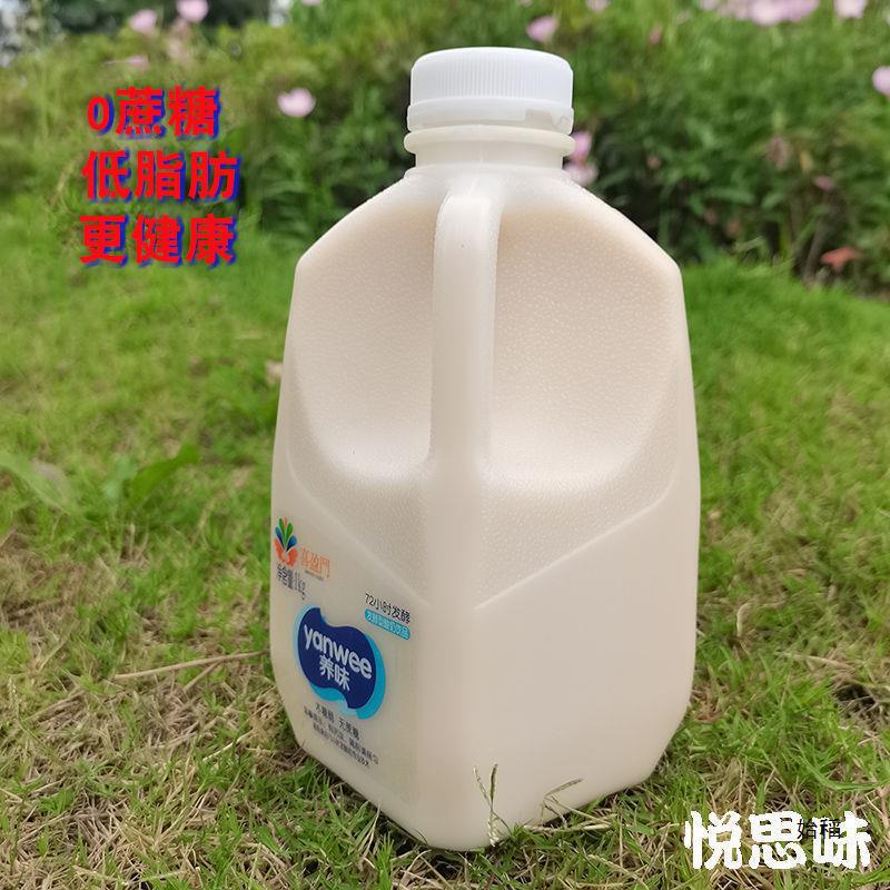 ゼロシュガー、低脂肪キシリトール、乳酸菌ミルク、ヨーグルトドリンク、食事代替品、非濃縮、越境配送|undefined