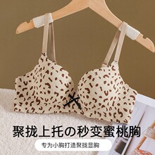 һƬʽ�A���Ը��ࣱ����z�^��С�ؾ۔n�@�������ո����{������