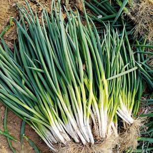 �ļ�С�[�N��С���[�̨�׷N���Լ�ͥ�ˈ@�N�����l�����S��ֱ�N