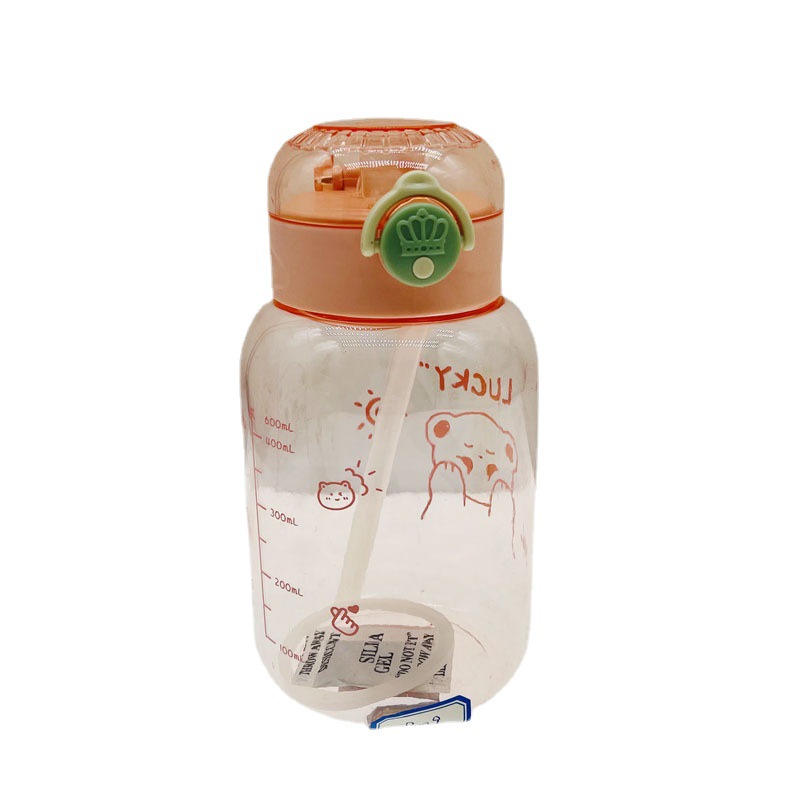 Fábrica al por mayor 2023 nueva celebridad en línea de dibujos animados taza de agua niños portátil lindo taza correa de paja logotipo impreso