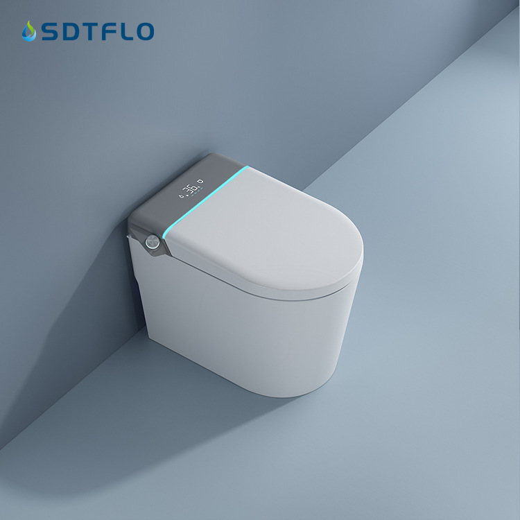 New Design Gray Flush Ceramic Bathroom Toilet Sanitary Ware Modern Wall Mounted Toilet Integrated Smart Toilet