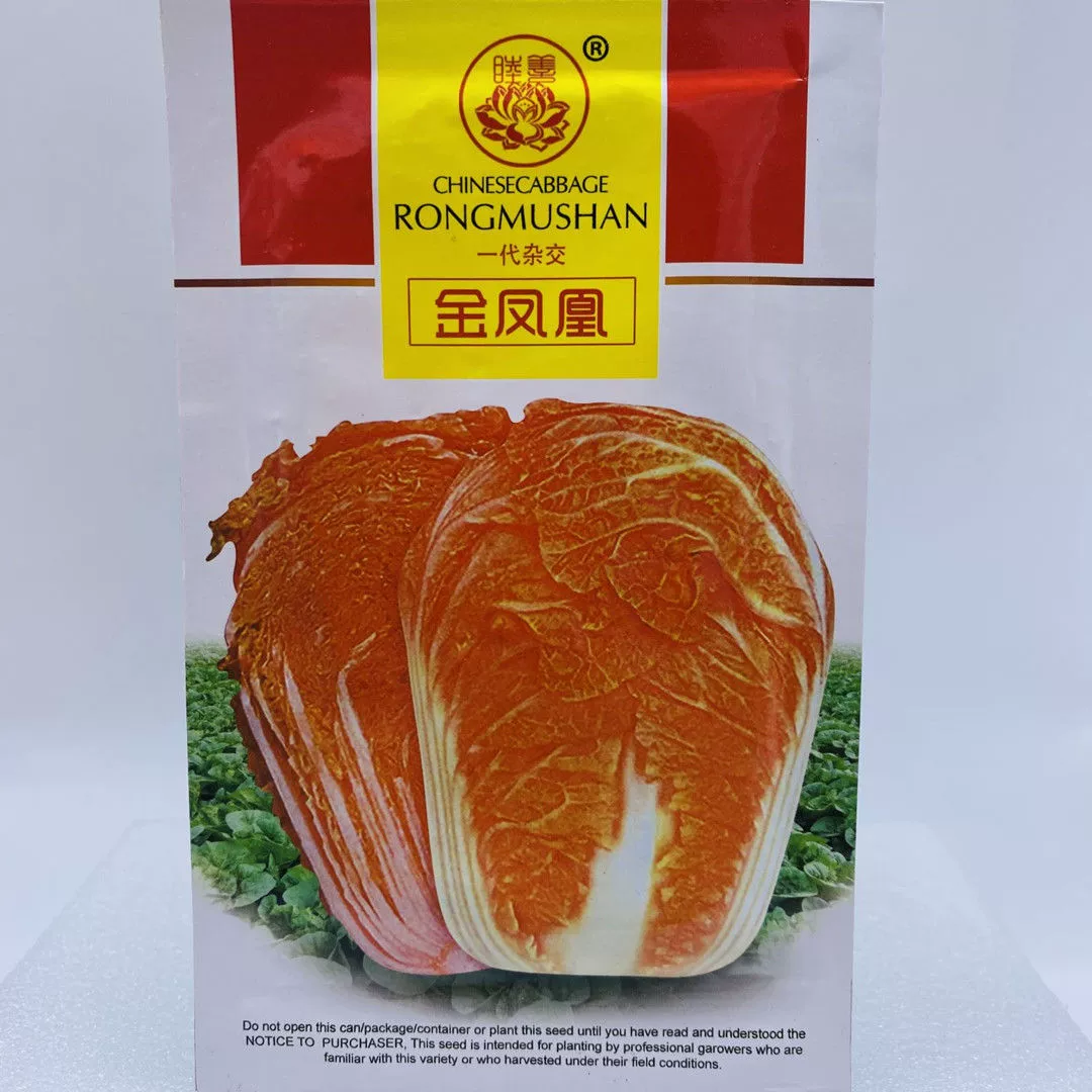 Золотой Феникс Семена китайской капусты Заголовок Китайская капуста Оранжевое Красное Сердце Семена китайской капусты Осенний посев Высокоурожайное поле устойчивости к болезням Средняя Бесплатная доставка