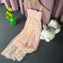 WŮСʽ2024ްBȹBȹ¿͹r