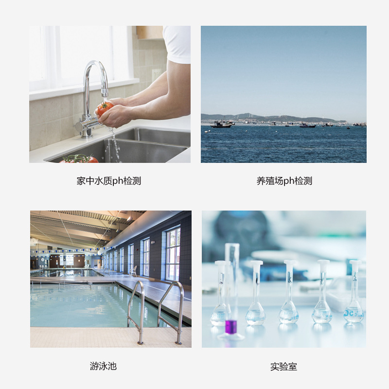 水质检测 ph-02pH计笔10