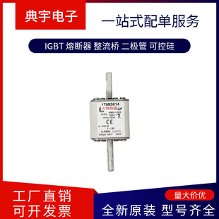 Fuse 170m3571 3572 3573 36083609   3610 3611 3612 Complete Models