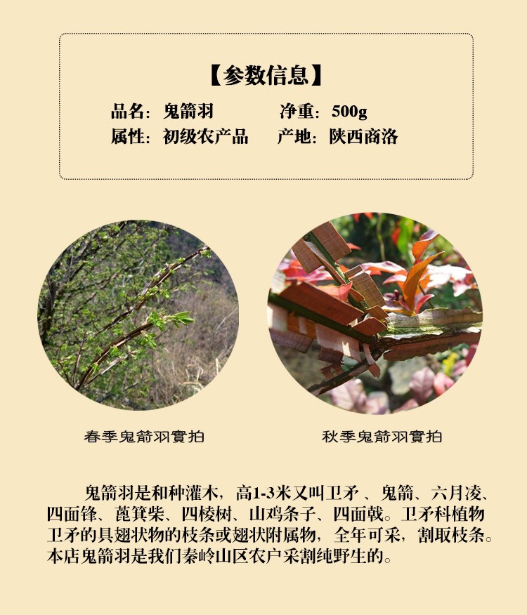 Gui Jian Yu Ghost Arrow Feather Dried Herb Wei Mao Euonymus Branches Wild Qinling Quality 500g key features