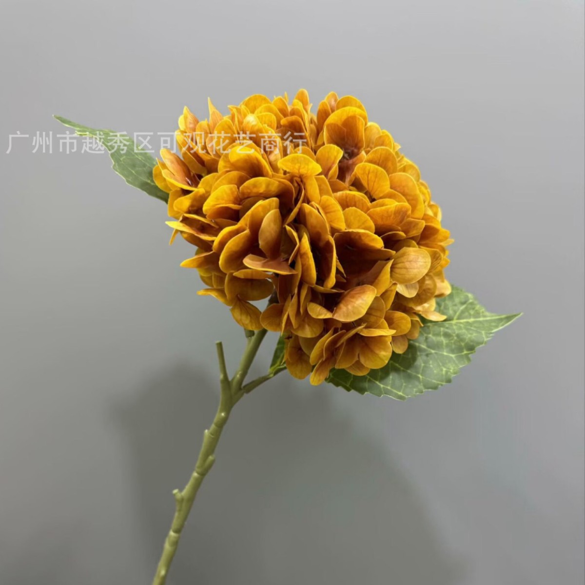 황금색