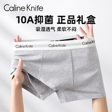 Caline Knife男士内裤纯棉中腰四角平角短裤10A抗菌裆透气礼盒装