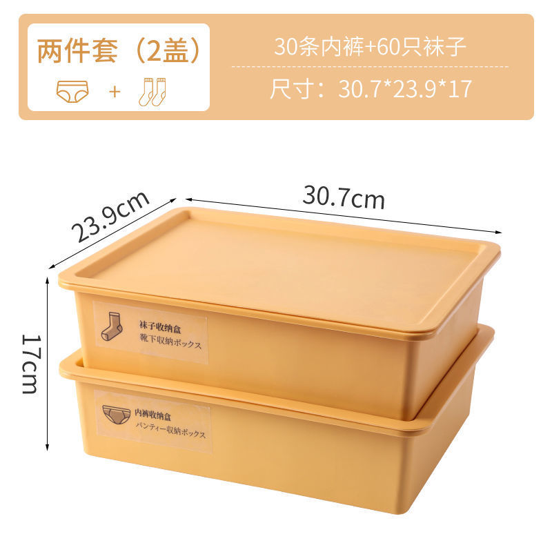 망고옐로우 [대용량+곰팡이방지, 방충] - 박스 2개 + 커버 2개 [속옷+양말] + 스티커