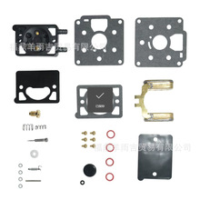 ��ȼ�ͱú͸��� 142-0570 BF BG B43M B48M 146-0380