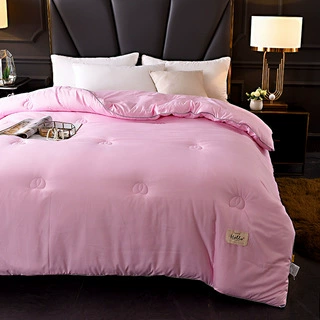 Студенческое общежитие утолщенное теплое весна и осень одеяло зимнее одеяло сплошной цвет Отель хостел одеяло ядро оптом