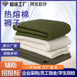 批发军绿褥子白色棉褥单位宿舍床褥学生军训棉花褥防潮床垫棉褥