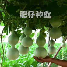 ƺJʳúJNӲ˷Nļr߲˴JNӻN