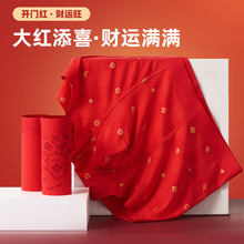 tѝĪѝПo͸RѝL7A־ѝ