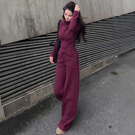韩系酒红色套装女2025秋冬修身加绒立领拉链卫衣阔腿裤两件套