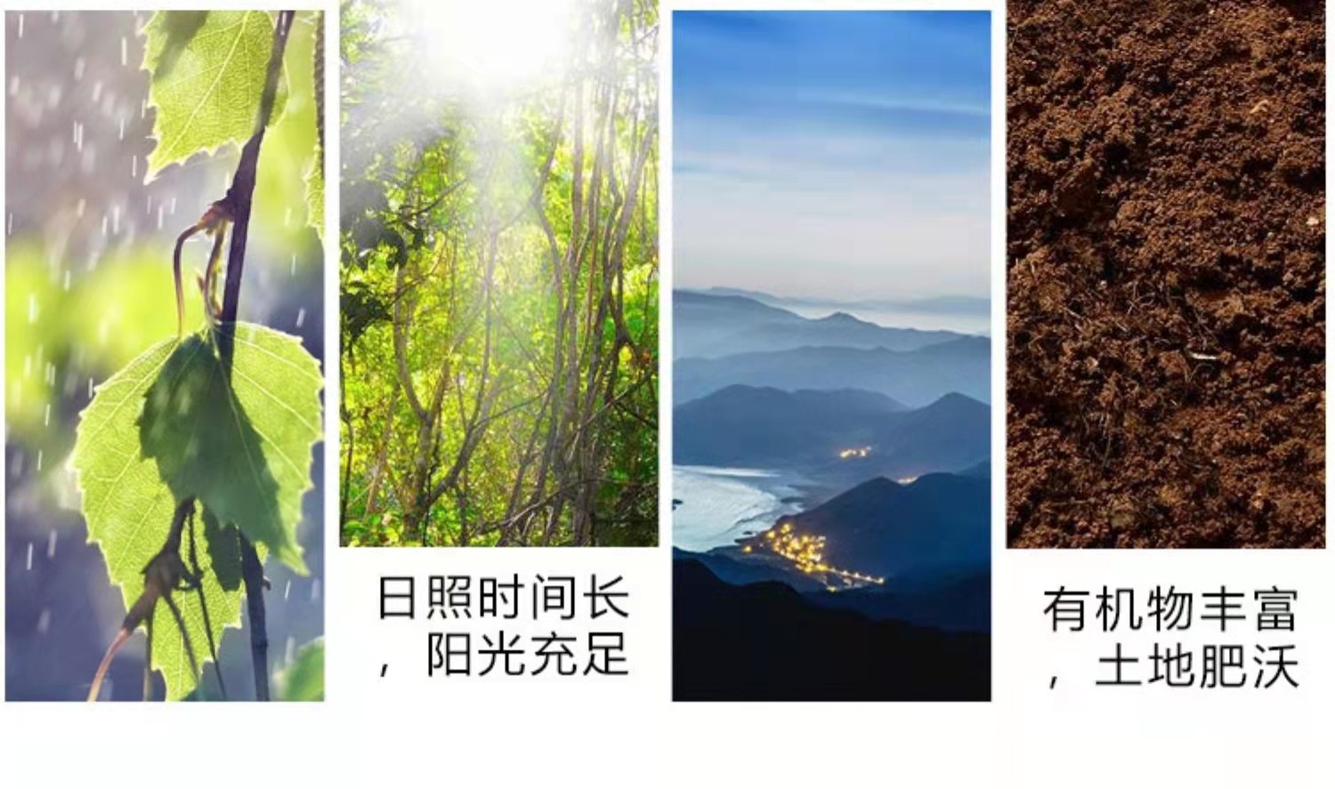 微信图片_20220212185759