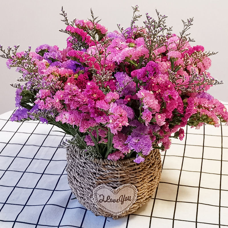 Forget me not Gypsophila Dried flowers Bouquet of flowers decorate Decoration family flower arrangement fresh a living room Decoration