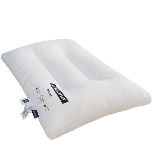 A Class 100% Cotton Five-Star Hotel Pillow Core Wholesale Student Dormitory Homestay Household Pure Cotton Pillow Core Pair